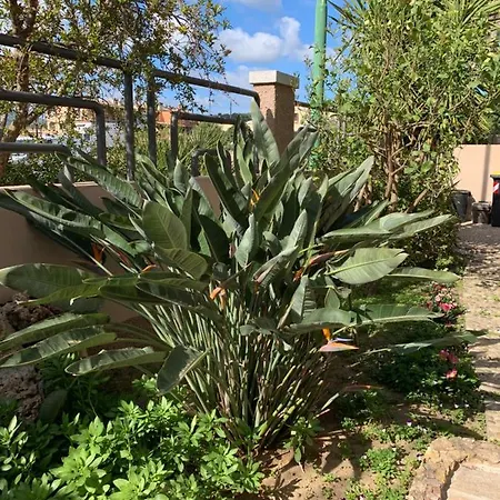 Bentu De Mari 住宿加早餐酒店 维拉西米乌斯