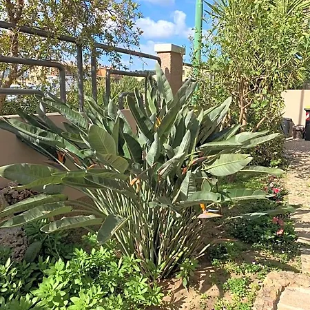 Bentu De Mari וילסימיוס